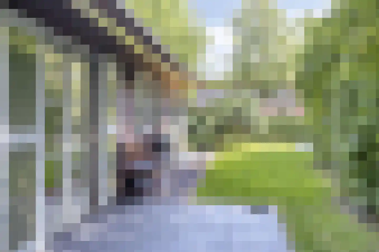 Ofslag 26 Appelscha thumbnail 41