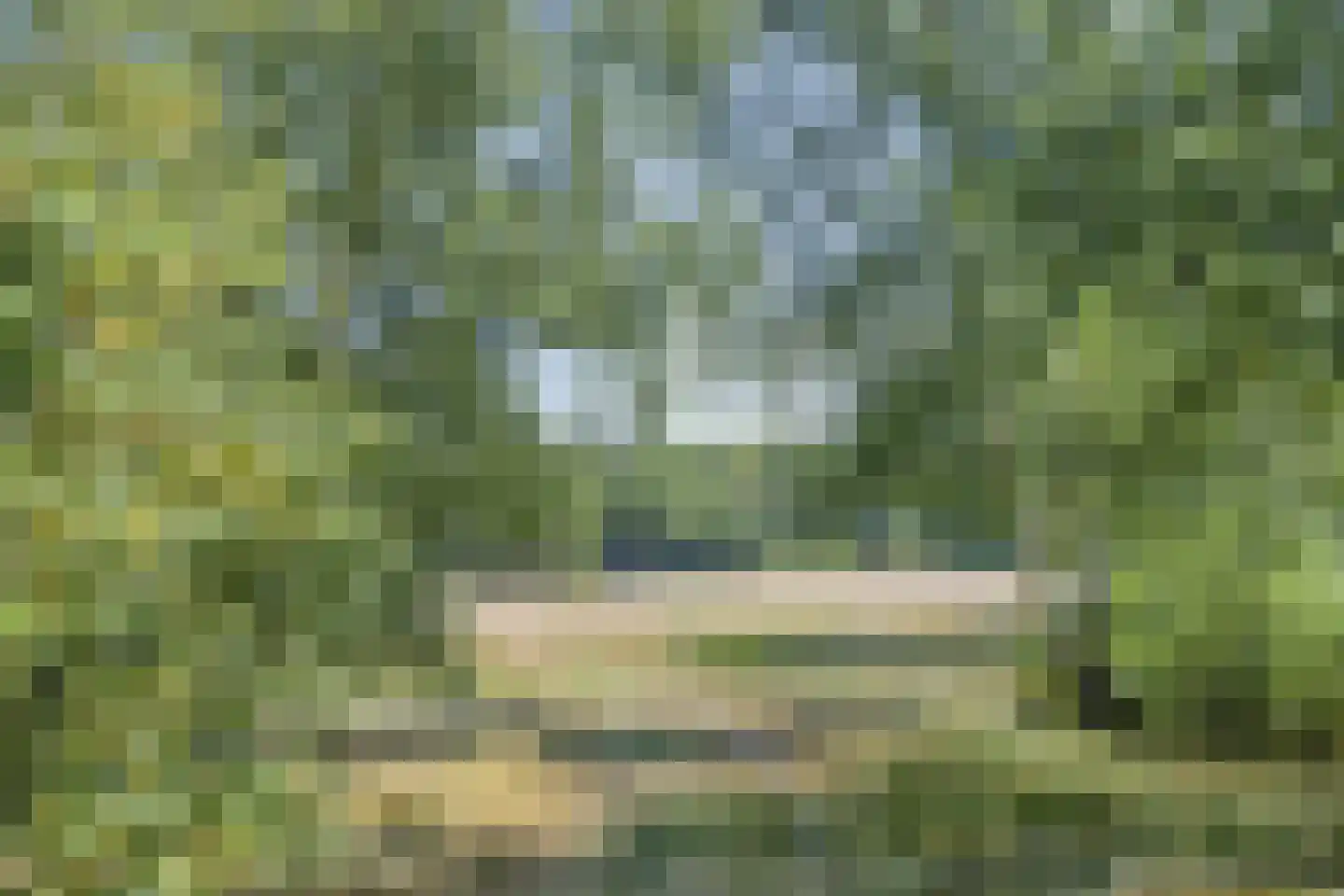 Ofslag 26 Appelscha thumbnail 47