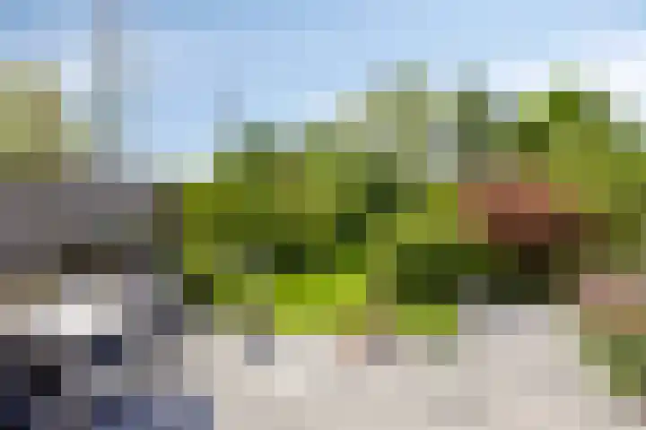 Ofwegen 15 Woubrugge thumbnail 13
