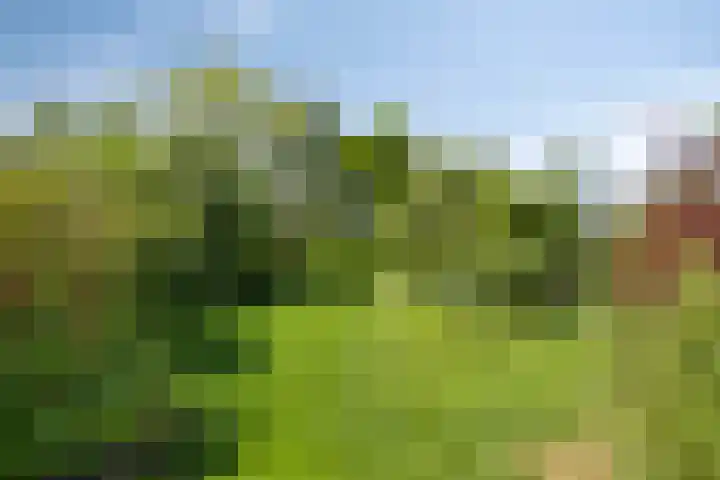 Ofwegen 15 Woubrugge thumbnail 15
