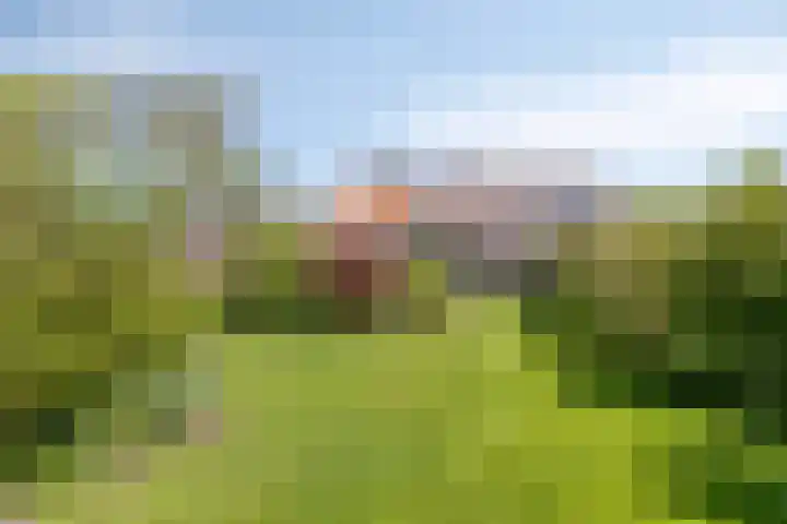 Ofwegen 15 Woubrugge thumbnail 16