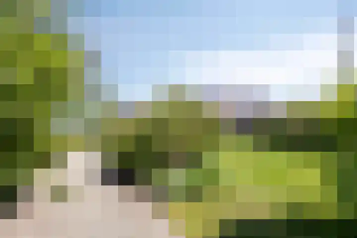 Ofwegen 15 Woubrugge thumbnail 17