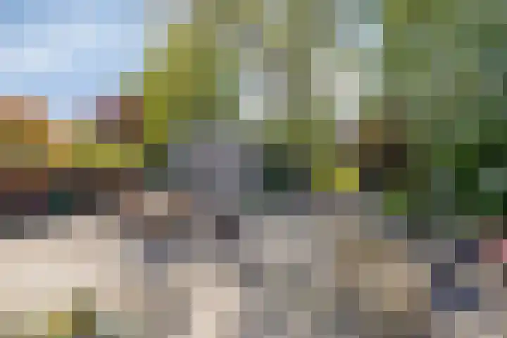 Ofwegen 15 Woubrugge thumbnail 18