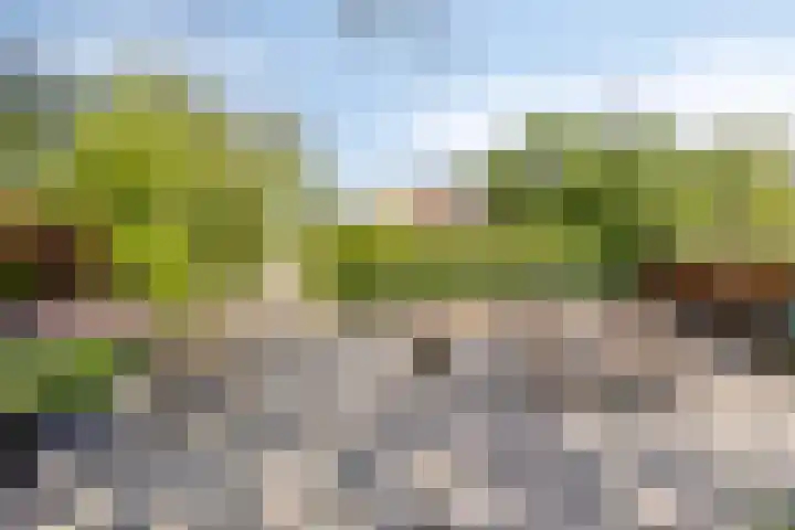 Ofwegen 15 Woubrugge thumbnail 21