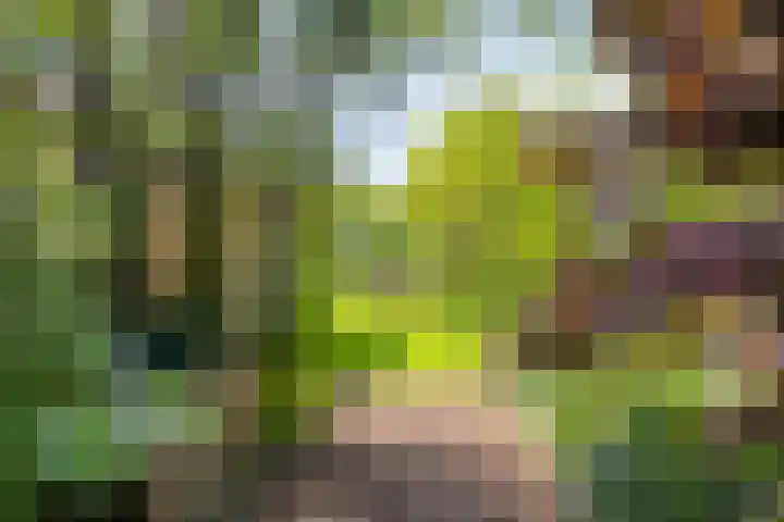 Ofwegen 15 Woubrugge thumbnail 22