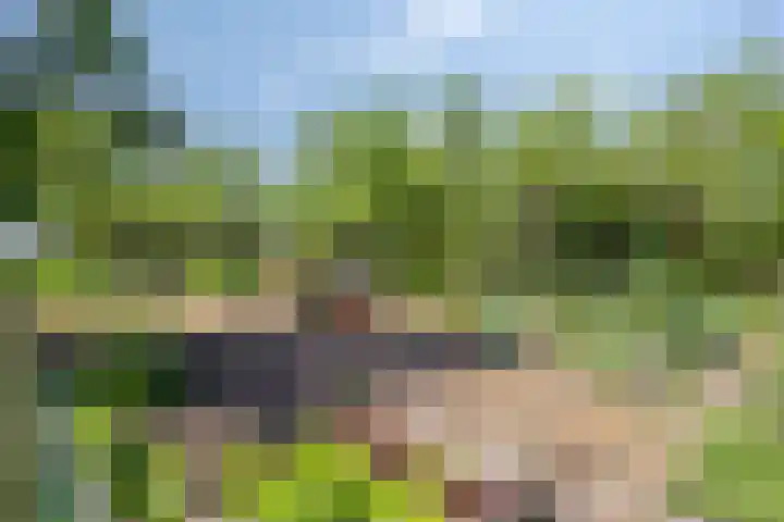 Ofwegen 15 Woubrugge thumbnail 23