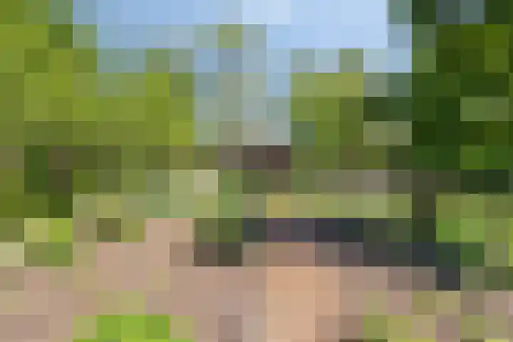 Ofwegen 15 Woubrugge thumbnail 24