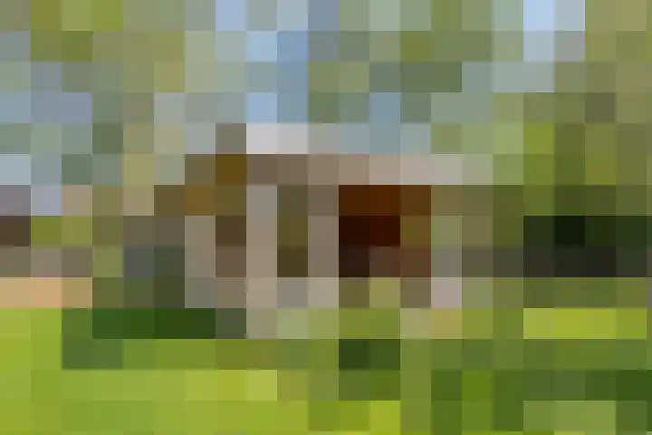 Ofwegen 15 Woubrugge thumbnail 25