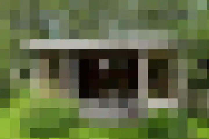 Ofwegen 15 Woubrugge thumbnail 26