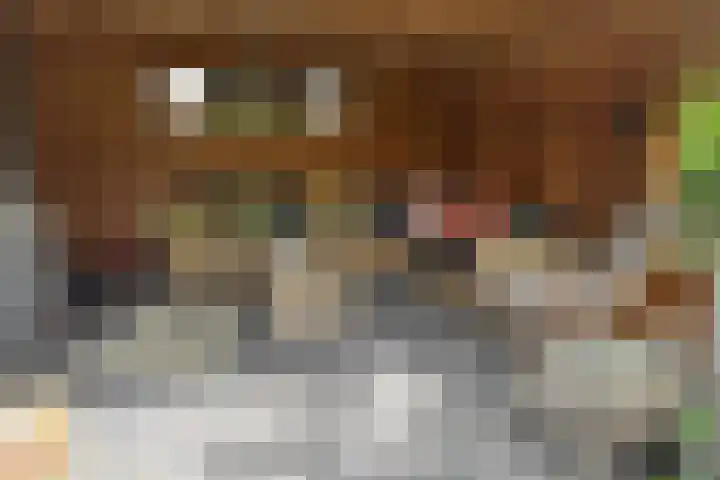 Ofwegen 15 Woubrugge thumbnail 27