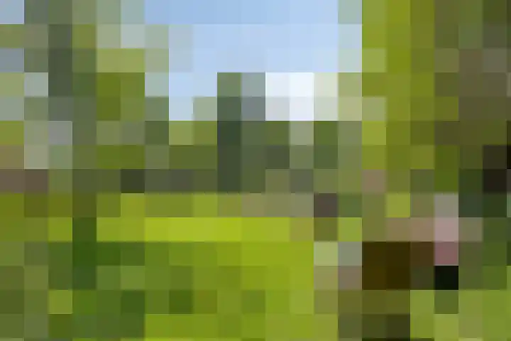 Ofwegen 15 Woubrugge thumbnail 28