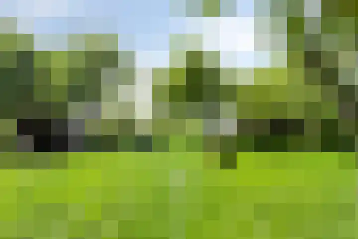 Ofwegen 15 Woubrugge thumbnail 29