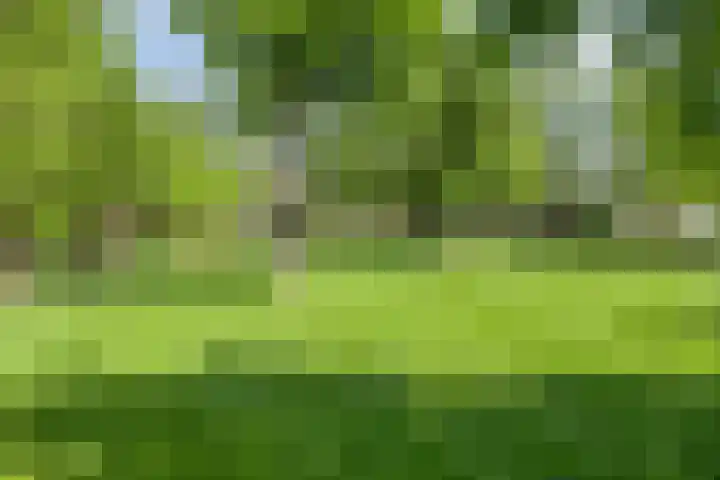 Ofwegen 15 Woubrugge thumbnail 30