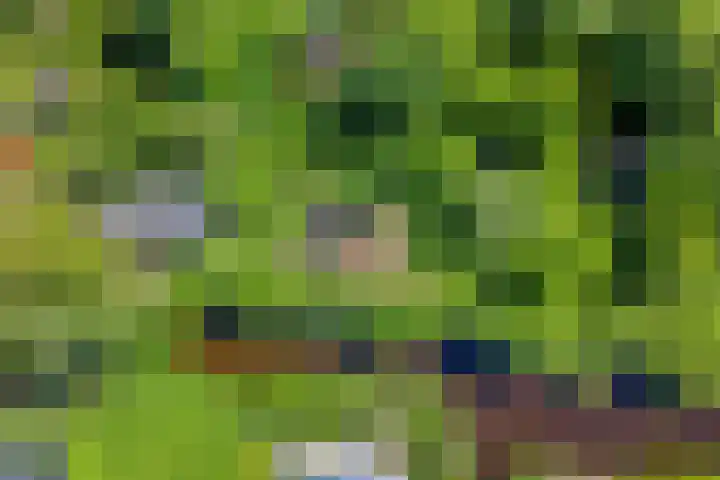 Ofwegen 15 Woubrugge thumbnail 31