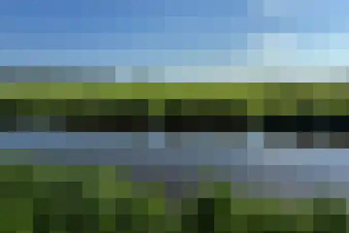 Ofwegen 15 Woubrugge thumbnail 32