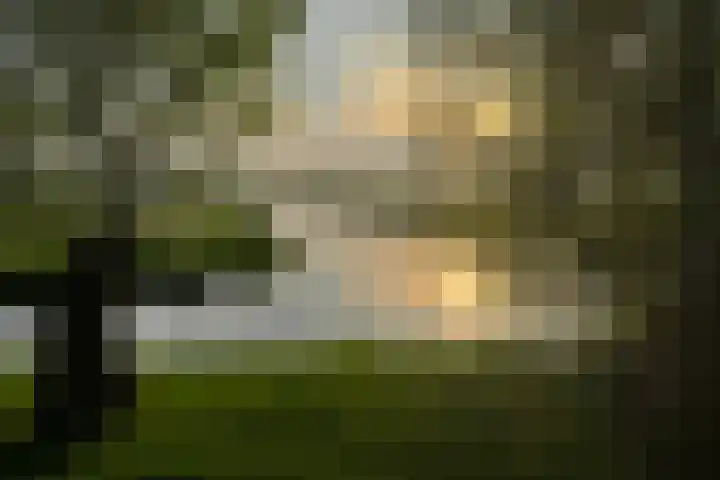 Ofwegen 15 Woubrugge thumbnail 33