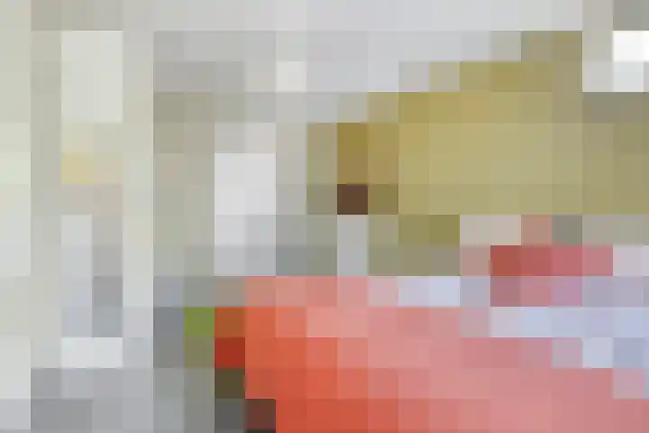 Ofwegen 15 Woubrugge thumbnail 34