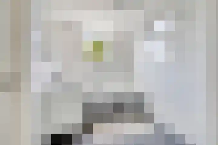 Ofwegen 15 Woubrugge thumbnail 36