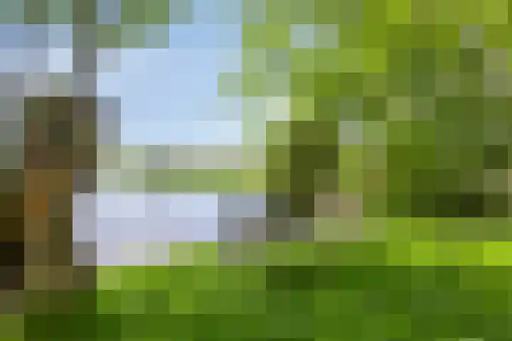 Ofwegen 15 Woubrugge thumbnail 4