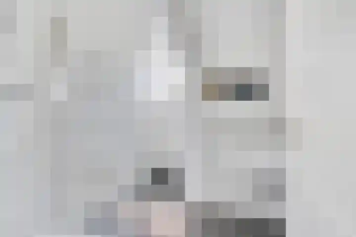 Ofwegen 15 Woubrugge thumbnail 43