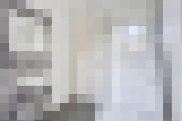 Ofwegen 15 Woubrugge thumbnail 44