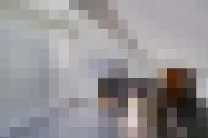 Ofwegen 15 Woubrugge thumbnail 46