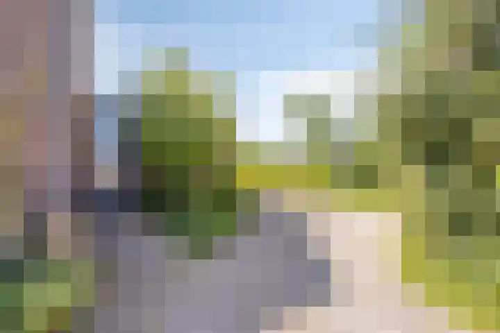 Ofwegen 15 Woubrugge thumbnail 48