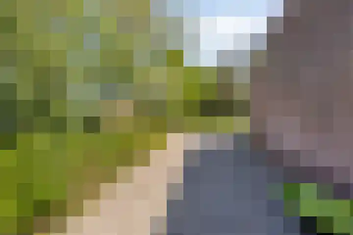 Ofwegen 15 Woubrugge thumbnail 49