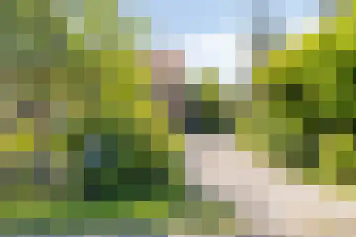 Ofwegen 15 Woubrugge thumbnail 5