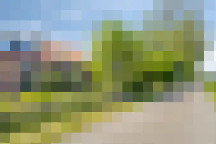 Ofwegen 15 Woubrugge thumbnail 50