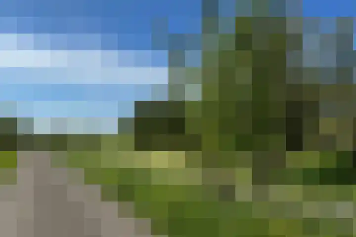 Ofwegen 15 Woubrugge thumbnail 54