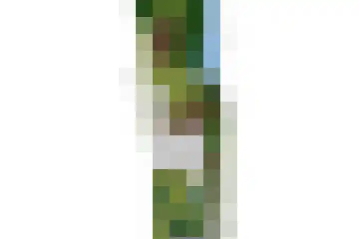Ofwegen 15 Woubrugge thumbnail 55