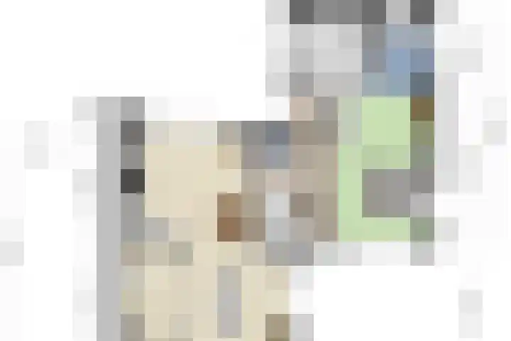 Ofwegen 15 Woubrugge thumbnail 57