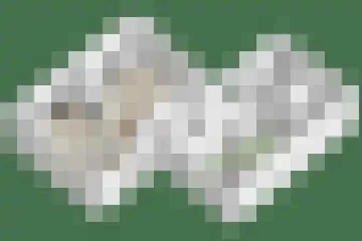 Ofwegen 15 Woubrugge thumbnail 58