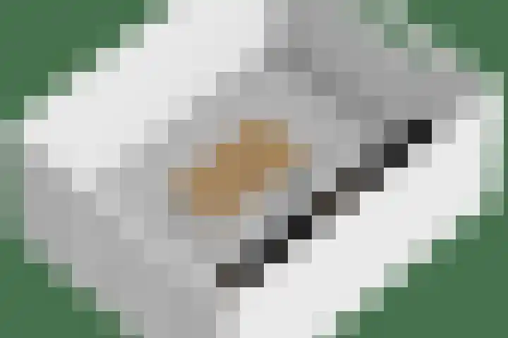 Ofwegen 15 Woubrugge thumbnail 62