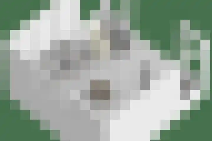 Ofwegen 15 Woubrugge thumbnail 64