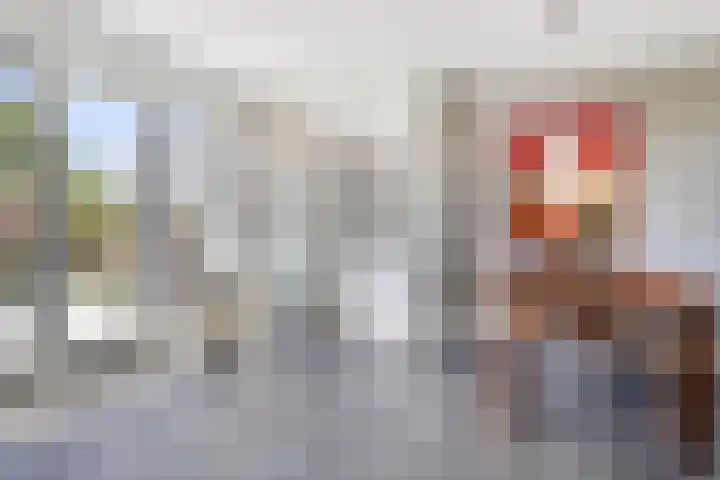 Ofwegen 15 Woubrugge thumbnail 9