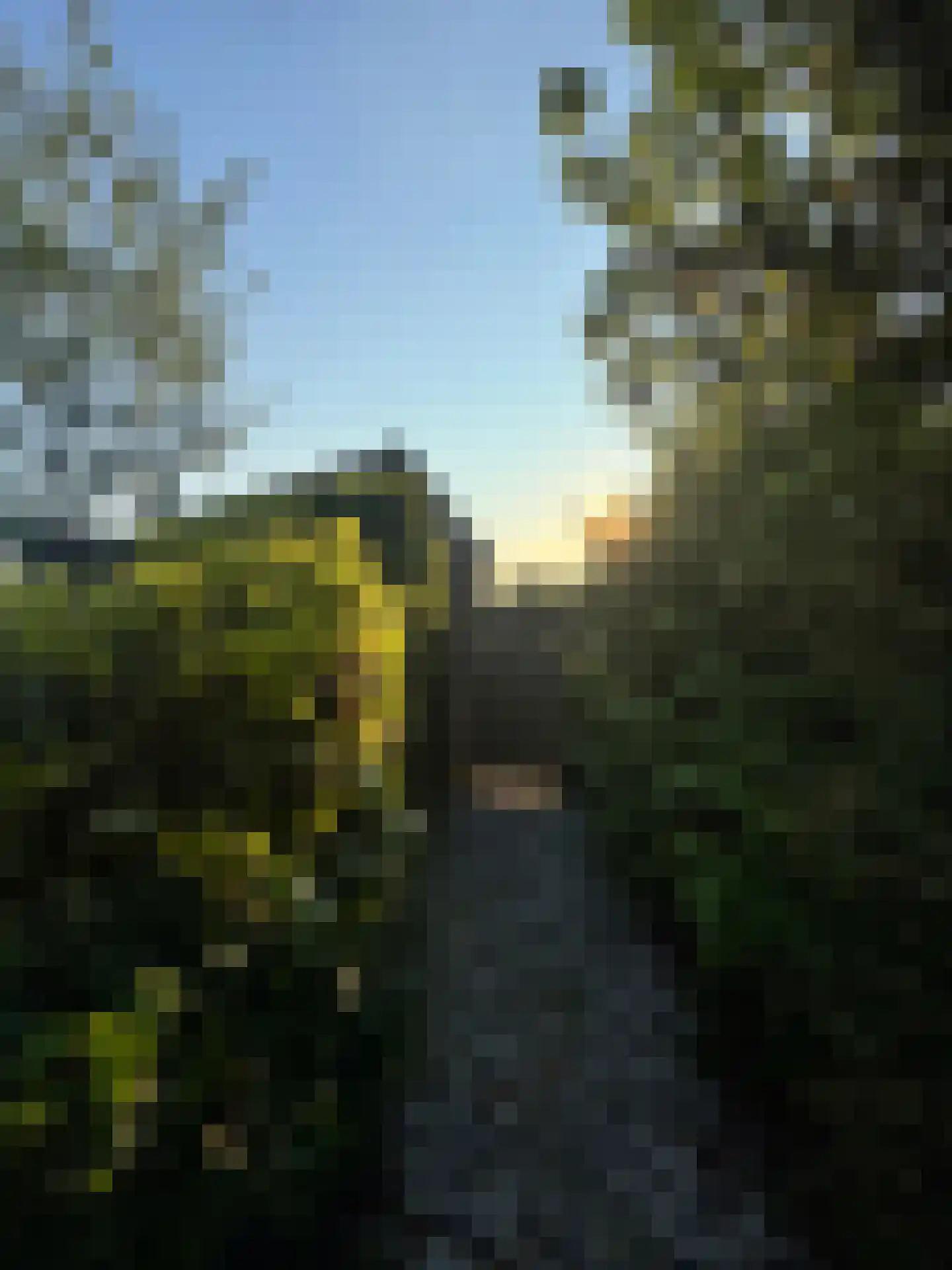 Ofwegen 2 a Woubrugge thumbnail 13