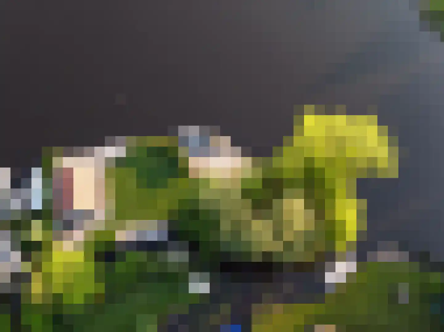 Ofwegen 2 a Woubrugge thumbnail 8