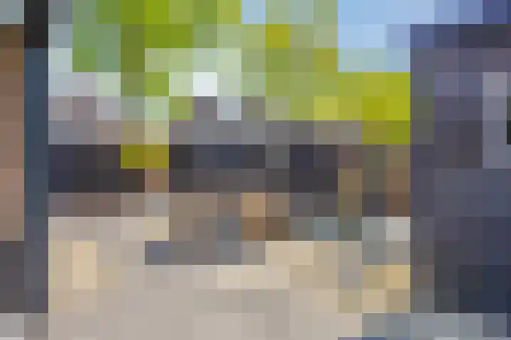 Ogentroost 1 Zeeland thumbnail 28