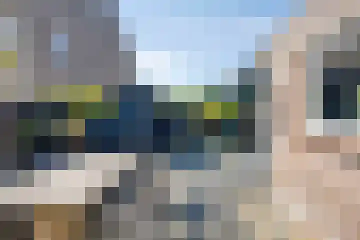 Ogentroost 1 Zeeland thumbnail 29
