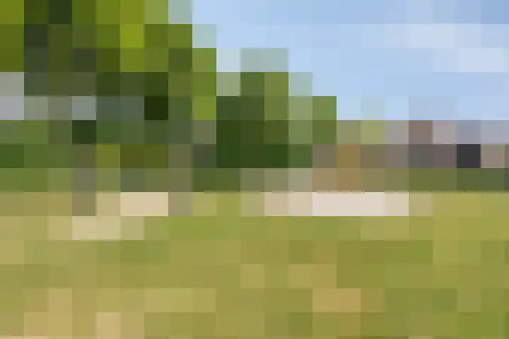 Ogentroost 1 Zeeland thumbnail 31