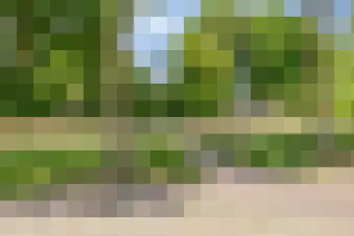 Ogentroost 1 Zeeland thumbnail 32