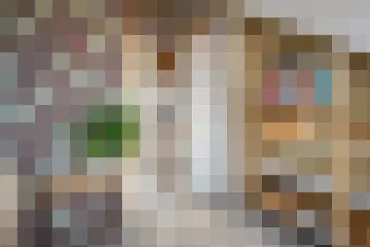 Ogentroost 1 Zeeland thumbnail 33