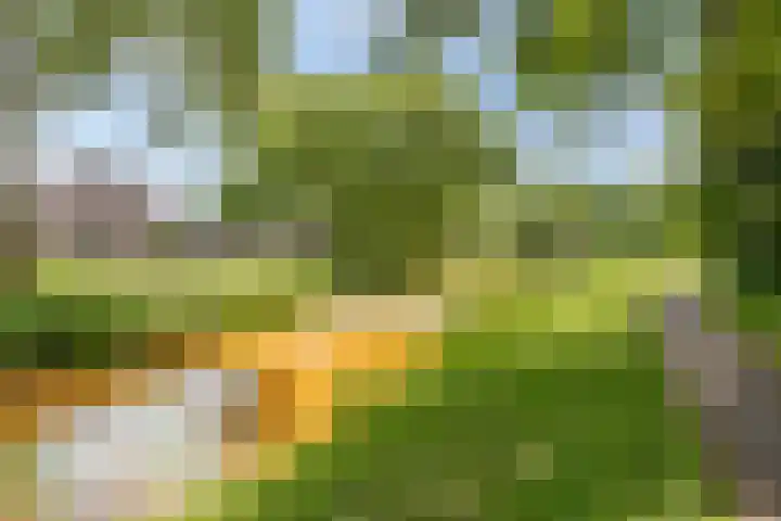Ogentroost 1 Zeeland thumbnail 33