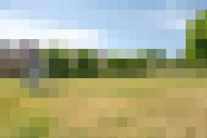 Ogentroost 1 Zeeland thumbnail 34