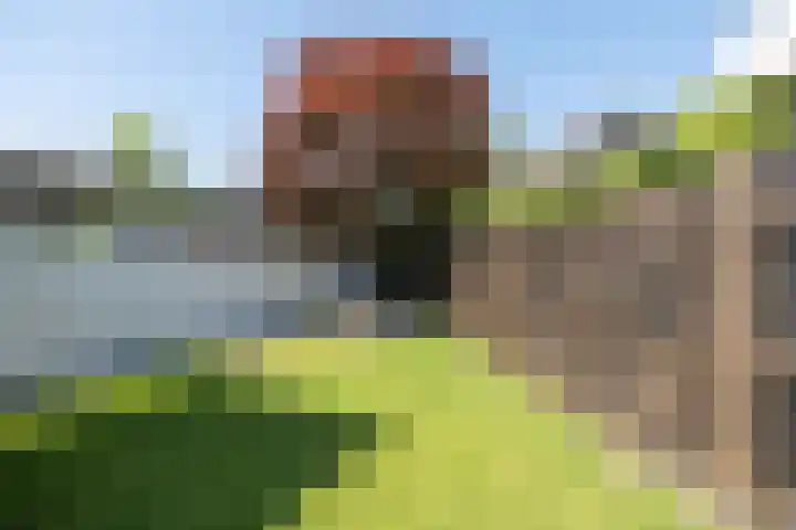Ogentroost 1 Zeeland thumbnail 5