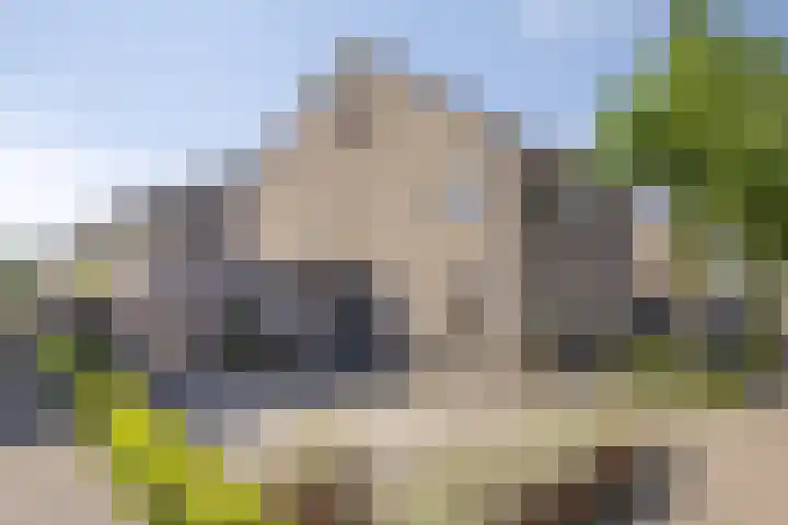 Ogentroost 1 Zeeland thumbnail 5