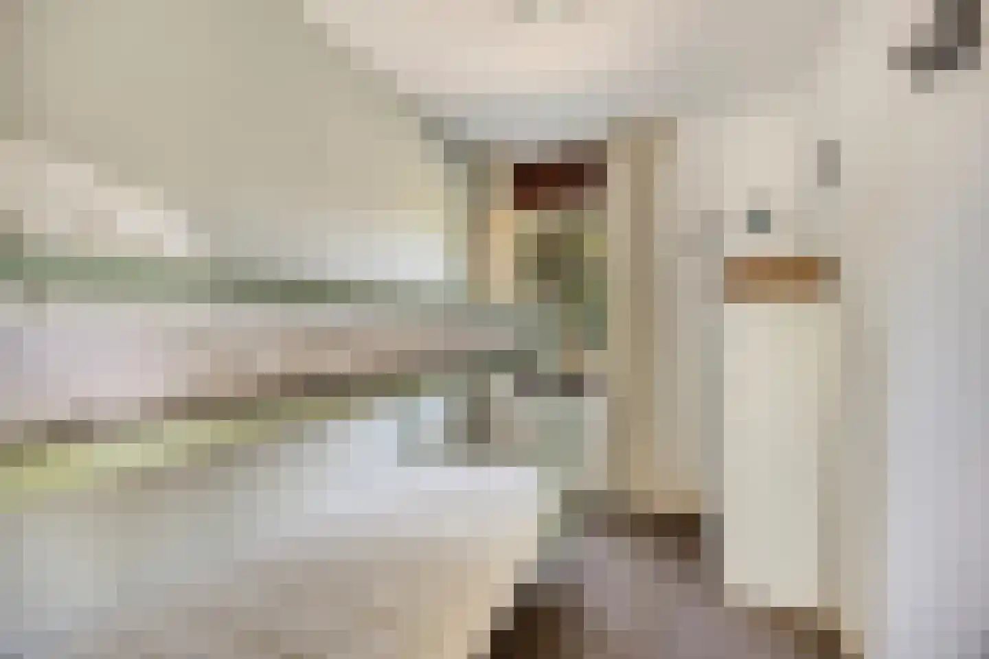 Ogentroost 12 Julianadorp thumbnail 20