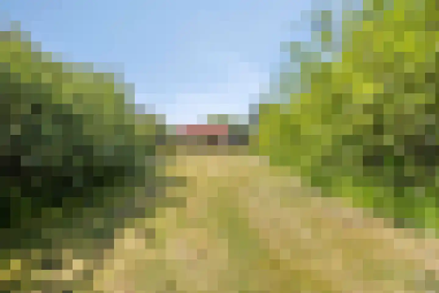 Ogentroost 12 Julianadorp thumbnail 22